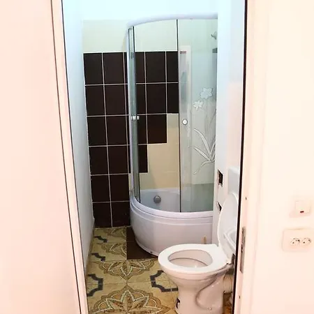 Guest house Pensiunea