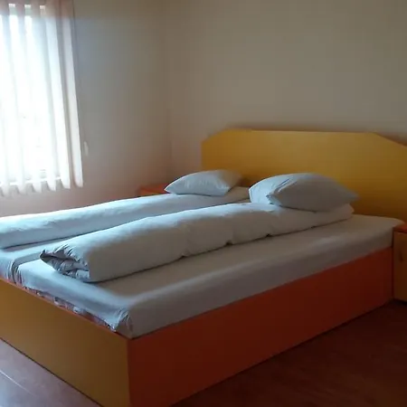 Guest house Pensiunea Orastie