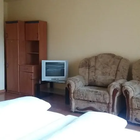 Guest house Pensiunea *