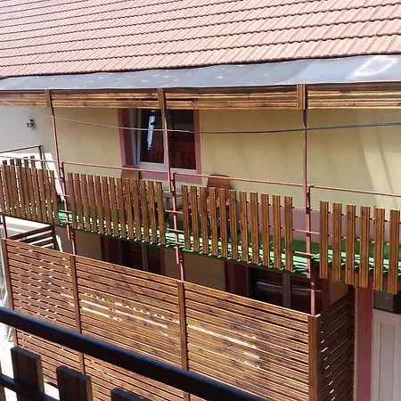 Guest house Pensiunea *