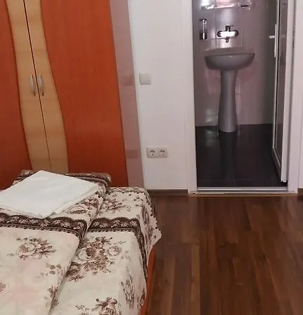 Guest house Pensiunea